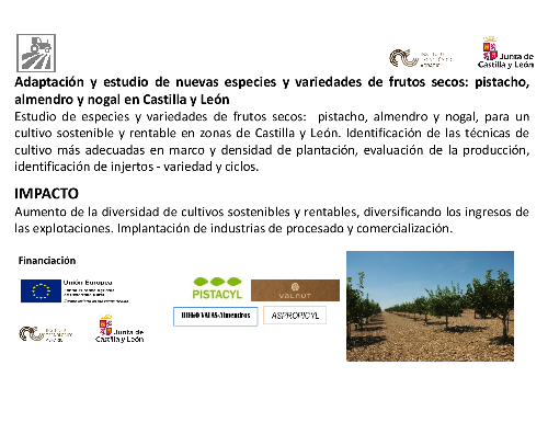 Adaptación y estudio de nuevas especies y variedades de frutos secos: pistacho, almendro y nogal en Castilla y León