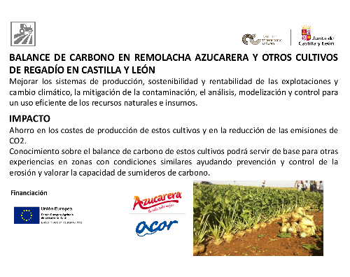 Balance de carbono en remolacha azucarera y otros cultivos de regadío en Castilla y León