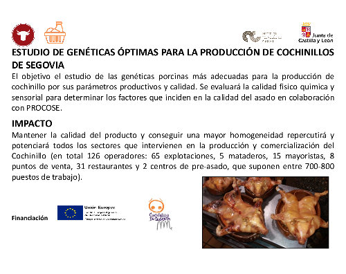 Estudio de genéticas óptimas para la producción de Cochinillos de Segovia (COCHISEG)