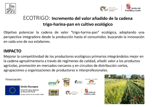 ECOTRIGO: Incremento del valor añadido de la cadena  trigo-harina-pan en cultivo ecológico