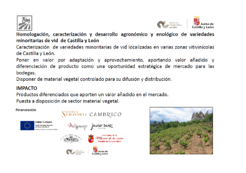 Homologación, caracterización y desarrollo agronómico y enológico de variedades minoritarias de vid de Castilla y León