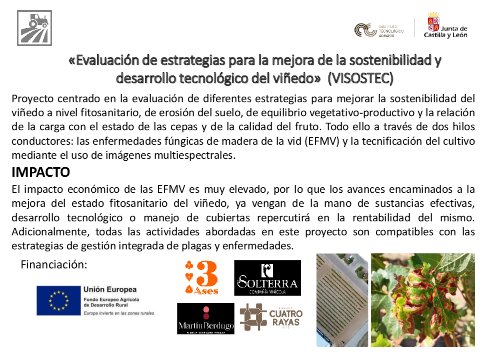 Evaluación de estrategias para la mejora de la sostenibilidad y desarrollo tecnológico del viñedo (VISOSTEC)