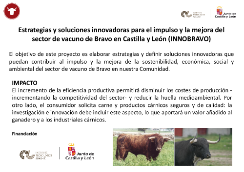Estrategias y soluciones innovadoras para el impulso y la mejora del sector de vacuno de  Bravo en Castilla y León (INNOBRAVO)