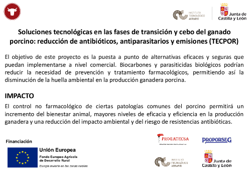 SOLUCIONES TECNOLÓGICAS EN LAS FASES DE TRANSICIÓN Y CEBO DEL GANADO PORCINO: REDUCCIÓN DE ANTIBIÓTICOS, ANTIPARASITARIOS Y EMISIONES (TecPor)