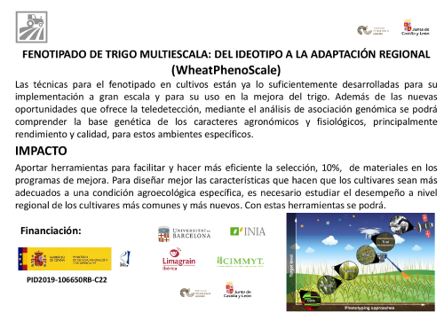 FENOTIPADO DE TRIGO MULTIESCALA: DEL IDEOTIPO A LA ADAPTACIÓN REGIONAL (WheatPhenoScale)