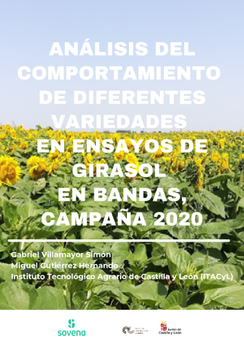 ANÁLISIS DEL COMPORTAMIENTO DE DIFERENTES VARIEDADES EN ENSAYOS DE GIRASOL EN BANDAS, CAMPAÑA 2020